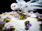 Gothic Evil Eye Ring: Antique Silver Devil's Eye, Adjustable Amulet