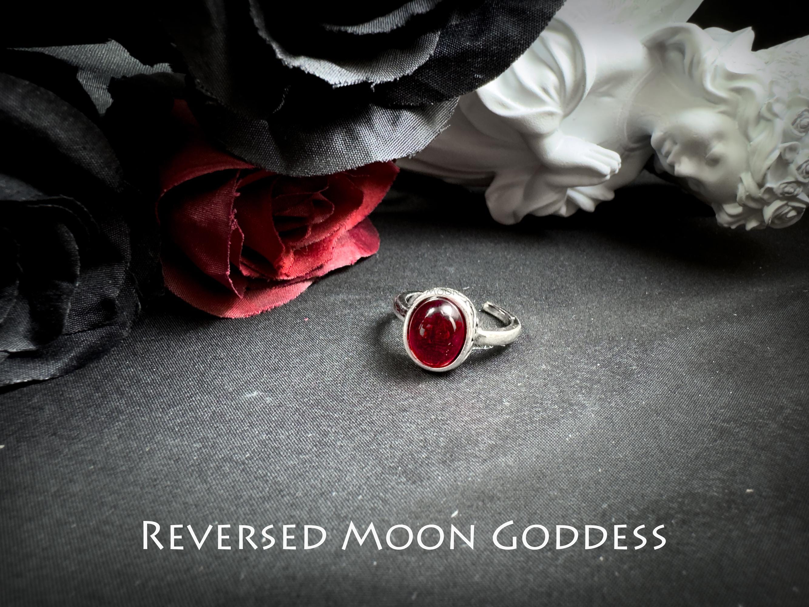Crimson Crystal Ring Set: Gothic Titanium Steel Adjustable Rings